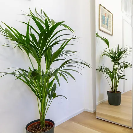 Apartamento Casa Dami *